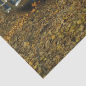 ヴィンテージドイツ車ティッシュペーパー 薄葉紙 (詳細)