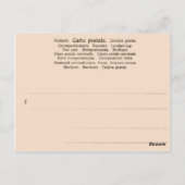 ヴィンテージドイツ,コニシュロスリンダーホフ ポストカード (裏面)