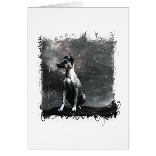 ヴィンテージドッグすべての行事 (正面)