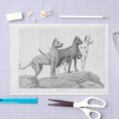 ヴィンテージドッグエフェメラデコップグレートダネス 薄葉紙 (クラフト)