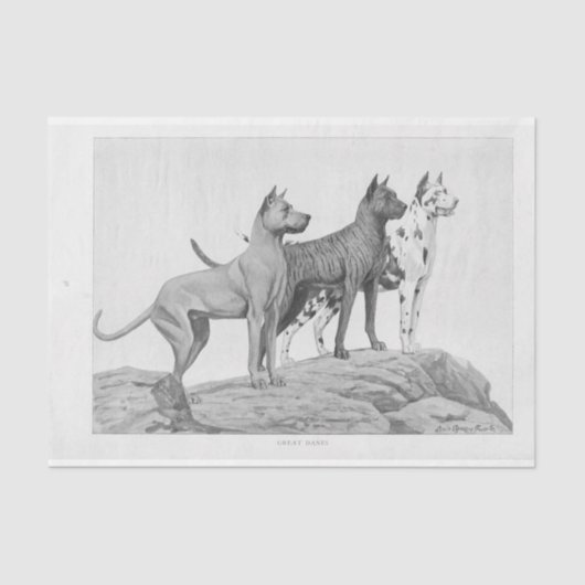 ヴィンテージドッグエフェメラデコップグレートダネス 薄葉紙 (正面)