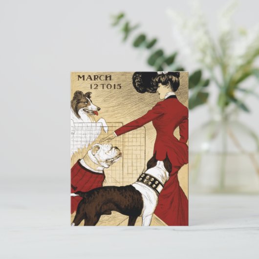 ヴィンテージドッグショーイラストレーションアートオールドアンティーク ポストカード (スタンド正面)