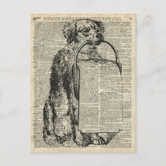 ヴィンテージドッグステンシルイラストレーションオールドブックページ ポストカード (正面)