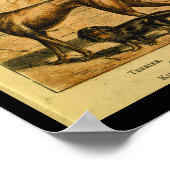 ヴィンテージドッグテリアスパニエル犬自然史プリント ポスター (角)