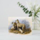 ヴィンテージドッグブリーズプリント ポストカード (スタンド正面)