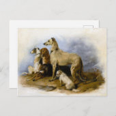 ヴィンテージドッグブリーズプリント ポストカード (正面/裏面)