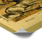 ヴィンテージドッグブルドッグ自然史プリント ポスター (角)