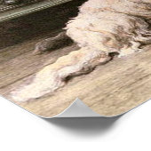 ヴィンテージドッグ画像ポスター ポスター (角)