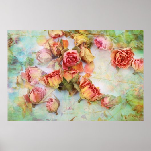 ヴィンテージドライ結婚バラ ポスター (正面)