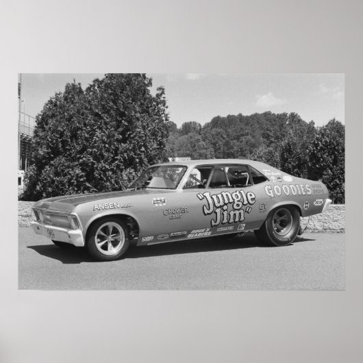 ヴィンテージドラッグ – ジャングルジム1 ポスター (正面)