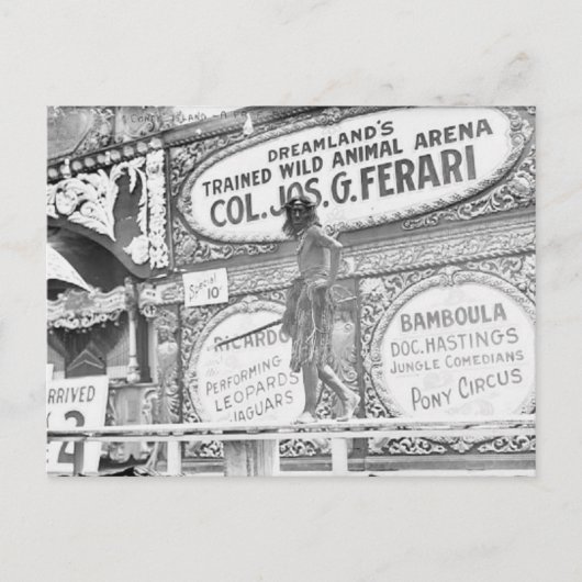 ヴィンテージドリームランド野獣はがき ポストカード (正面)