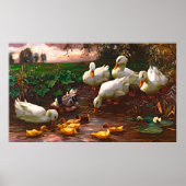 ヴィンテージドレイク（白アヒルと黄色アヒル） ポスター (正面)