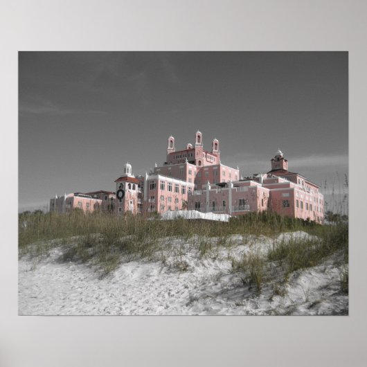 ヴィンテージドンCeSar ポスター (正面)