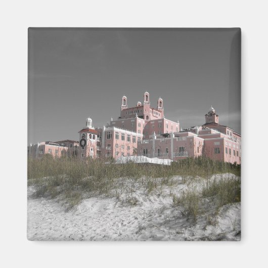 ヴィンテージドンCeSar マグネット (正面)