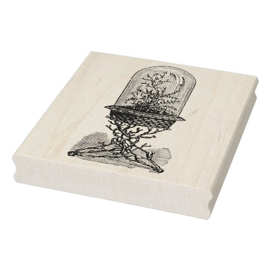 ヴィンテージドームテラリウムラバーアートスタンプ ラバースタンプ (スタンプ)