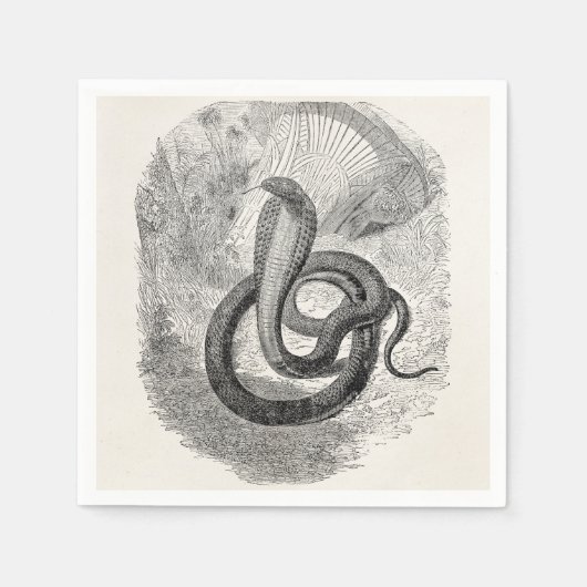 ヴィンテージナイアハジェスネーク – ヘビ爬虫類テンプレート スタンダードカクテルナプキン (正面)