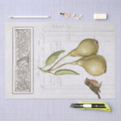 ヴィンテージナシロビンフランスのフクロウ葉のデコページ 薄葉紙 (クラフト)