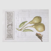 ヴィンテージナシロビンフランスのフクロウ葉のデコページ 薄葉紙 (正面)