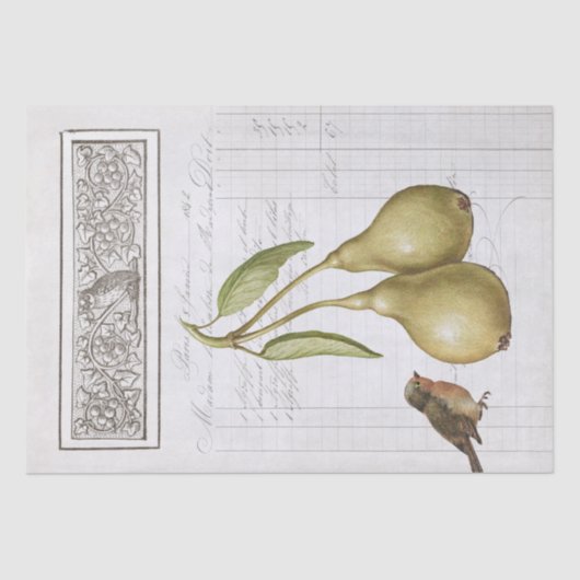 ヴィンテージナシロビンフランスのフクロウ葉のデコページ 薄葉紙 (正面)