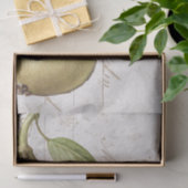 ヴィンテージナセバタフライカルテデクページ 薄葉紙 (ギフト)