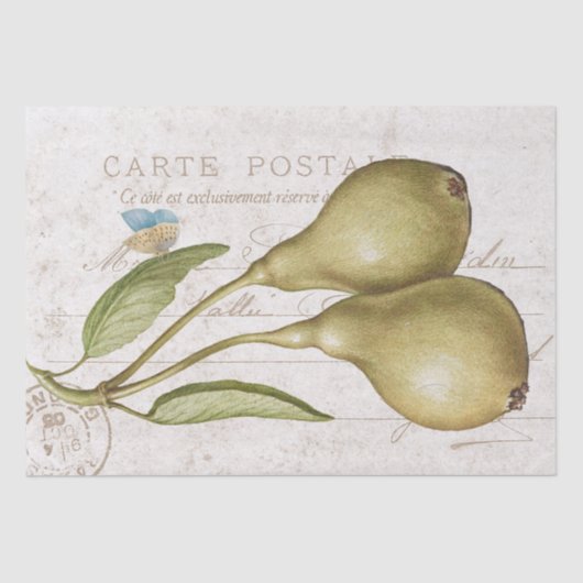 ヴィンテージナセバタフライカルテデクページ 薄葉紙 (正面)