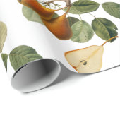 ヴィンテージナセボタニカルイラストレーション ラッピングペーパー (ロールコーナー)