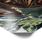 ヴィンテージナチュラリストエルンストハエッケルフロッグズ&トーズP フォトプリント            (角)