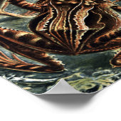 ヴィンテージナチュラリストエルンストヘッケルフロッグスアンドトーズ ポスター (角)