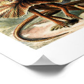 ヴィンテージナチュラリストエルンスト・ヘッケル・リザーズ・チャート ポスター (角)