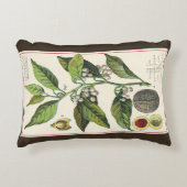 ヴィンテージナツメグ植物果実種子、食品薬草スパイス アクセントクッション (正面)