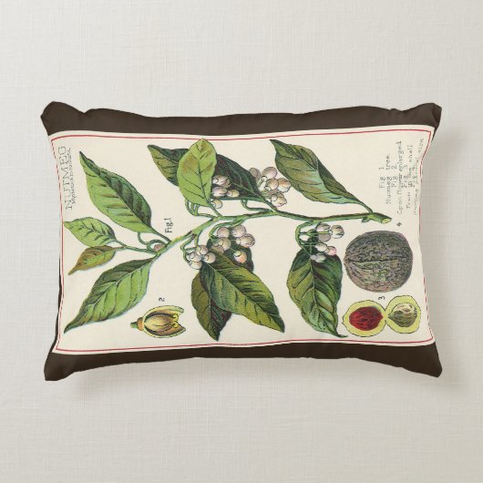 ヴィンテージナツメグ植物果実種子、食品薬草スパイス アクセントクッション (正面)