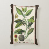 ヴィンテージナツメグ植物果実種子、食品薬草スパイス アクセントクッション (裏面(縦))
