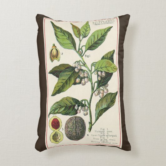 ヴィンテージナツメグ植物果実種子、食品薬草スパイス アクセントクッション (正面(垂直))