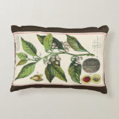 ヴィンテージナツメグ植物果実種子、食品薬草スパイス アクセントクッション (裏面)