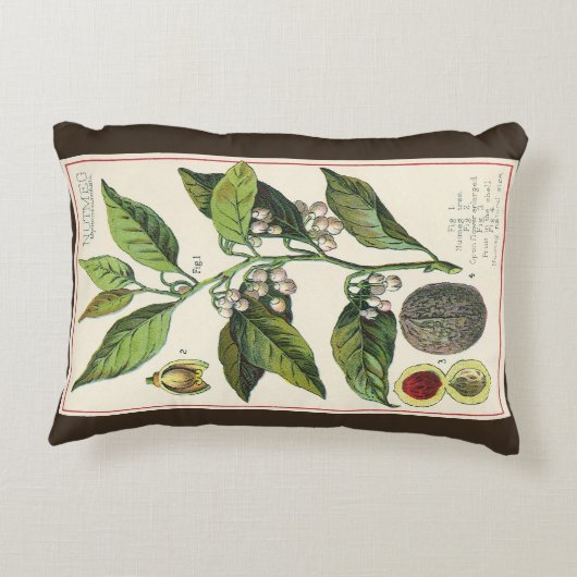 ヴィンテージナツメグ植物果実種子、食品薬草スパイス アクセントクッション (裏面)