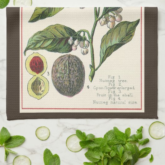 ヴィンテージナツメグ植物果実種子、食品薬草スパイス キッチンタオル (折り畳み)
