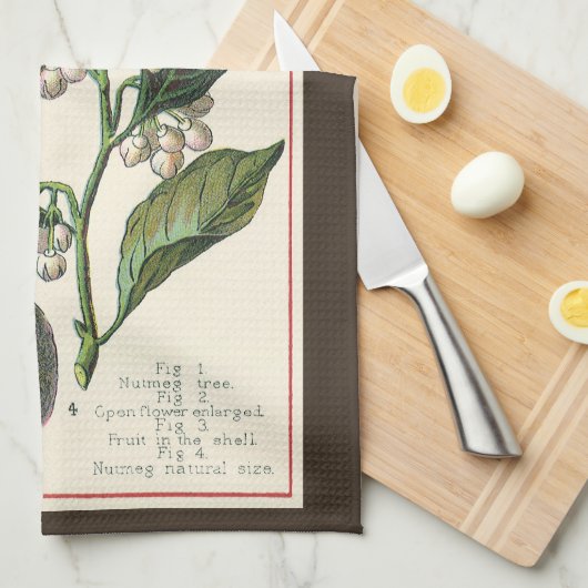 ヴィンテージナツメグ植物果実種子、食品薬草スパイス キッチンタオル (四つ折り)