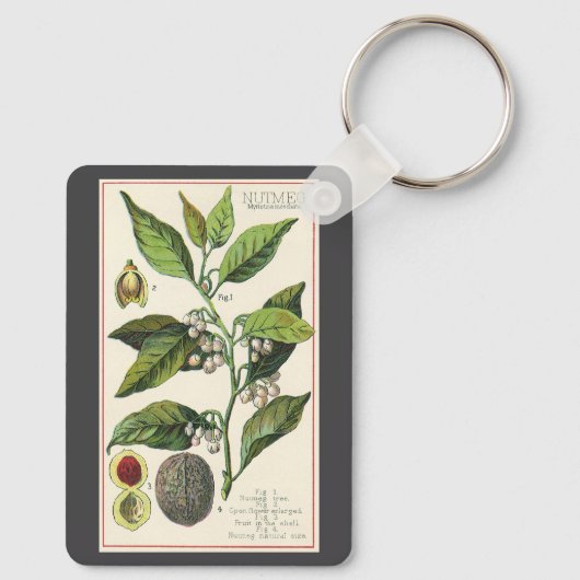 ヴィンテージナツメグ植物果実種子、食品薬草スパイス キーホルダー (裏面)