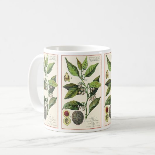 ヴィンテージナツメグ植物果実種子、食品薬草スパイス コーヒーマグカップ (正面左)