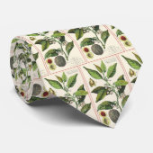 ヴィンテージナツメグ植物果実種子、食品薬草スパイス ネクタイ (ロール)