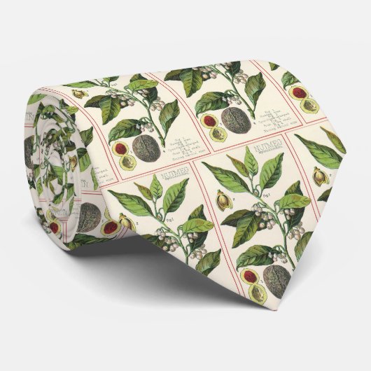 ヴィンテージナツメグ植物果実種子、食品薬草スパイス ネクタイ (ロール)