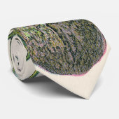 ヴィンテージナツメグ植物果実種子、食品薬草スパイス ネクタイ (ロール)