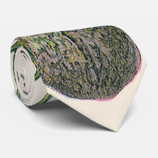 ヴィンテージナツメグ植物果実種子、食品薬草スパイス ネクタイ (ロール)