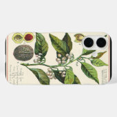 ヴィンテージナツメグ植物果実種子、食品薬草スパイス Case-Mate iPhoneケース (裏面 (横))