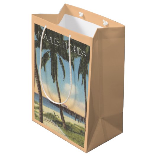 ヴィンテージナポリ、フロリダ湾と桟橋 ミディアムペーパーバッグ (裏面アングル)