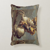 ヴィンテージナポレオン、アルプス横断 アクセントクッション (正面(垂直))