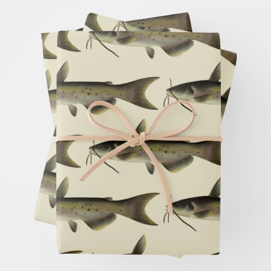 ヴィンテージナマズ魚釣りマリンライフリバーフィッシュ ラッピングペーパーシート (インサイチュ)