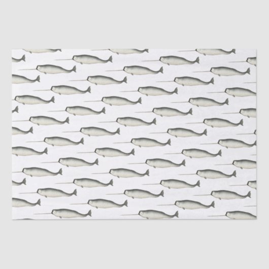 ヴィンテージナルホールナルクジラスケッチ#3 薄葉紙 (正面)