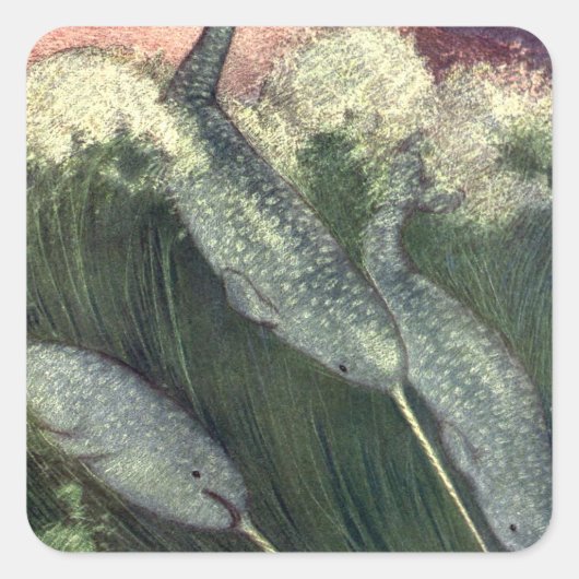 ヴィンテージナール、海洋生物クジラ海動物 スクエアシール (正面)