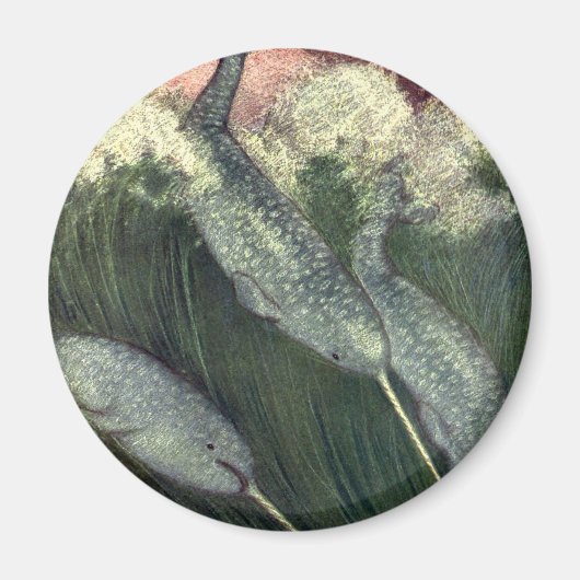 ヴィンテージナール、海洋生物クジラ海動物 マグネット (正面)